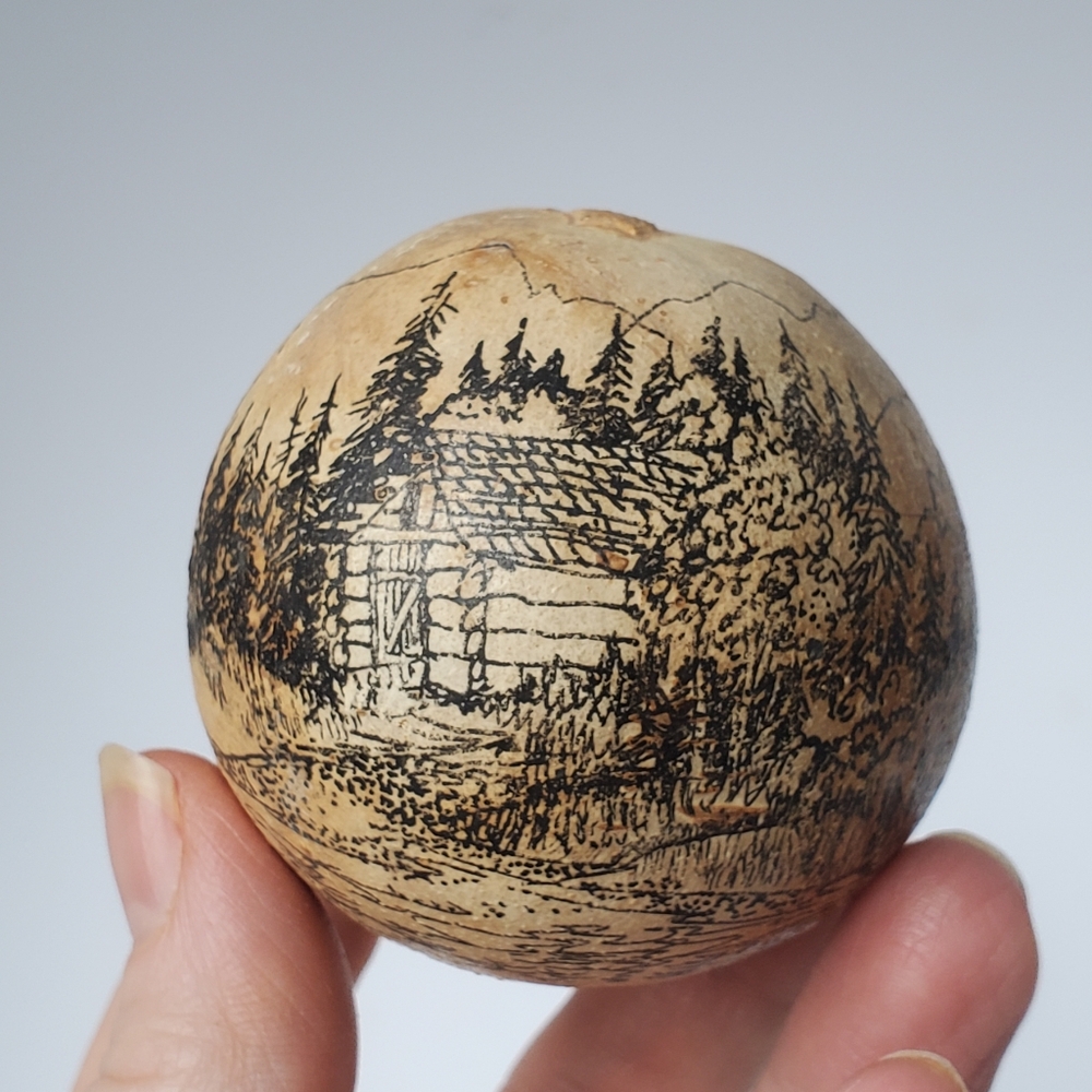Artist Signed Ink Drawing on Gourd by Mike Wilkey Revelstoke BC Canada 1982